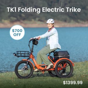 electric trike