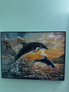 DD dolphin